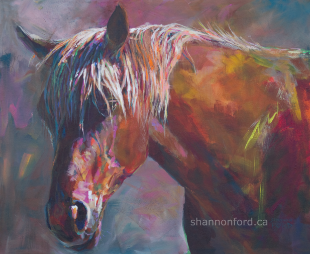 equine art, horse art, Arabian Horse Painting